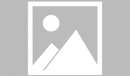 大连爆料吃瓜事件真相,揭秘背后真相与争议